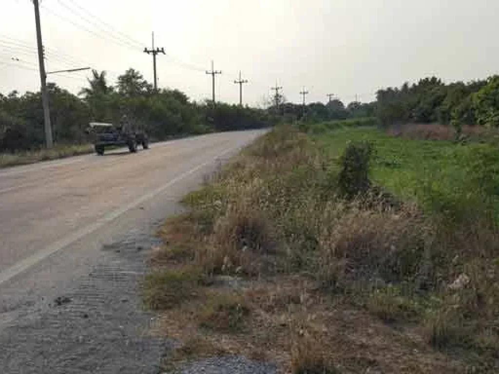 ขายที่ดินติดถนนใหญ่ สนามชัย