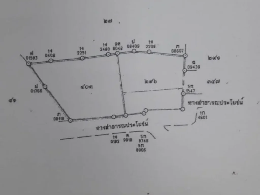 ขายที่ดิน 21 ไร่ อยู๋ใกล้วิทยาลัยเทคนิคหนองบัวลำภู ไม่ต้องถมที่แล้ว