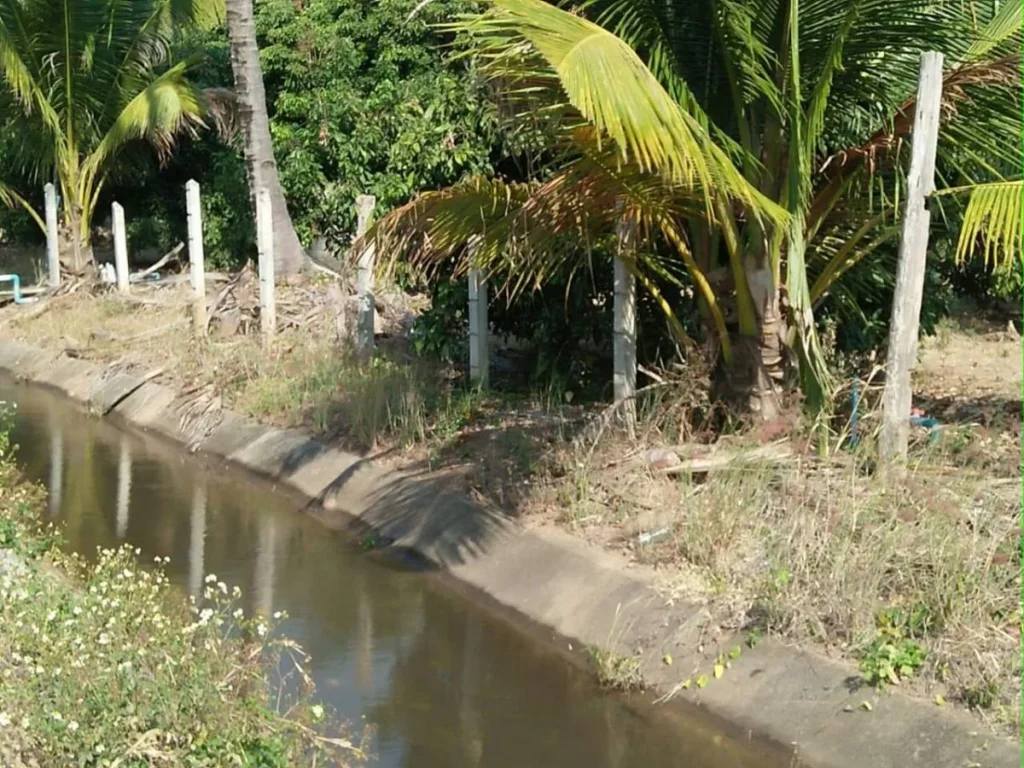 ขายที่ดินบ้านกาด แม่วางห่างตลาด 35 km