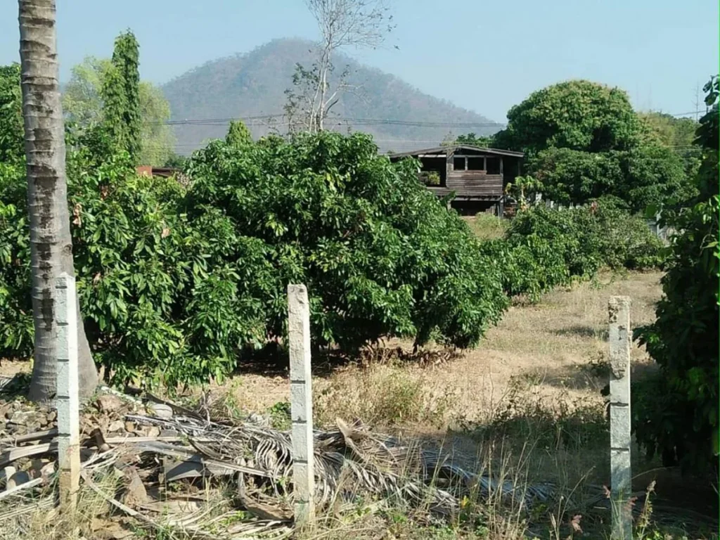 ขายที่ดินบ้านกาด แม่วางห่างตลาด 35 km