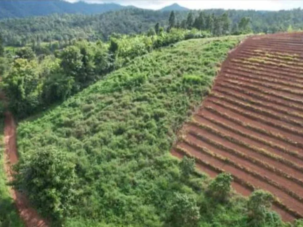 ขายที่ดินเนินดอยสะเมิงใกล้ม่อนแจ่มน้ำพุร้อนโฉนดพร้อมโอน