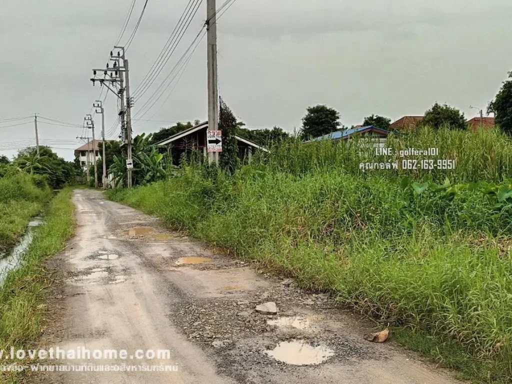 ขายที่ดินเปล่า ถนนบ้านกล้วย-ไทรน้อย บางบัวทอง นนทบุรี พื้นที่116ตรว แปลงสวย ขายถูก หน้ากว้าง 128 เมตร ลึก 35 เมตร