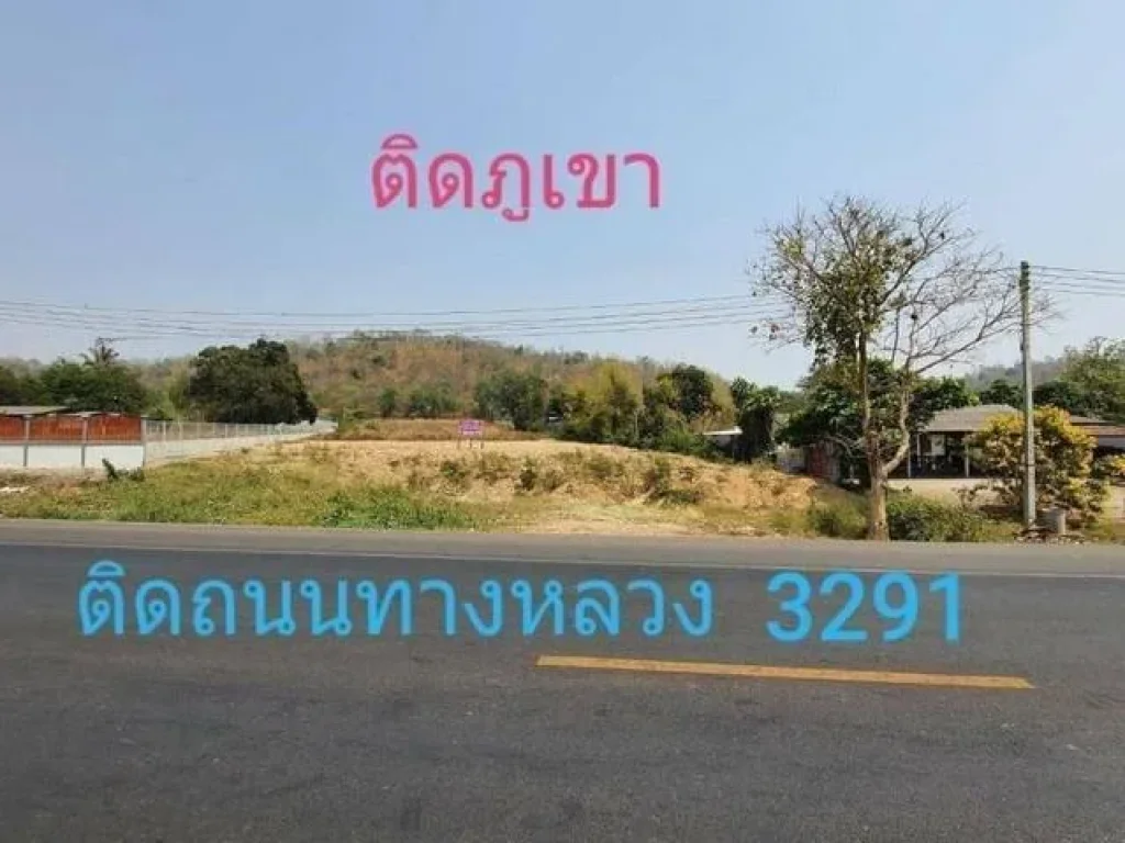 ขายที่ดิน 4 - 3 - 75 ไร่ โพธาราม ราชบุรี