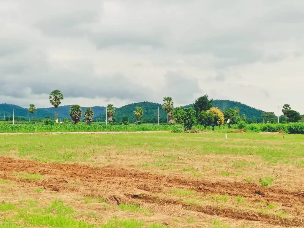 ขายที่ดินอู่ทองวิวเขาสวยโอบล้อม บรรยกาศดีทำเลดี พื้นที่อุดมสมบูรณ์ที่สำคัญ น้ำไม่ท่วม มีไฟฟ้าปะปาโฉนดครุฑแดง