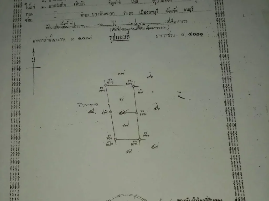 ขายที่นาติดคลอง