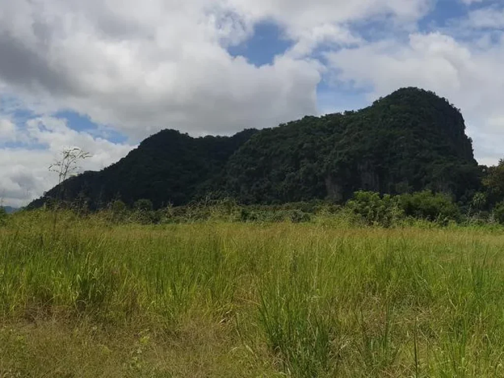 ที่ดินแปลงสวย วิวภูเขา ติดถนนลาดยาง