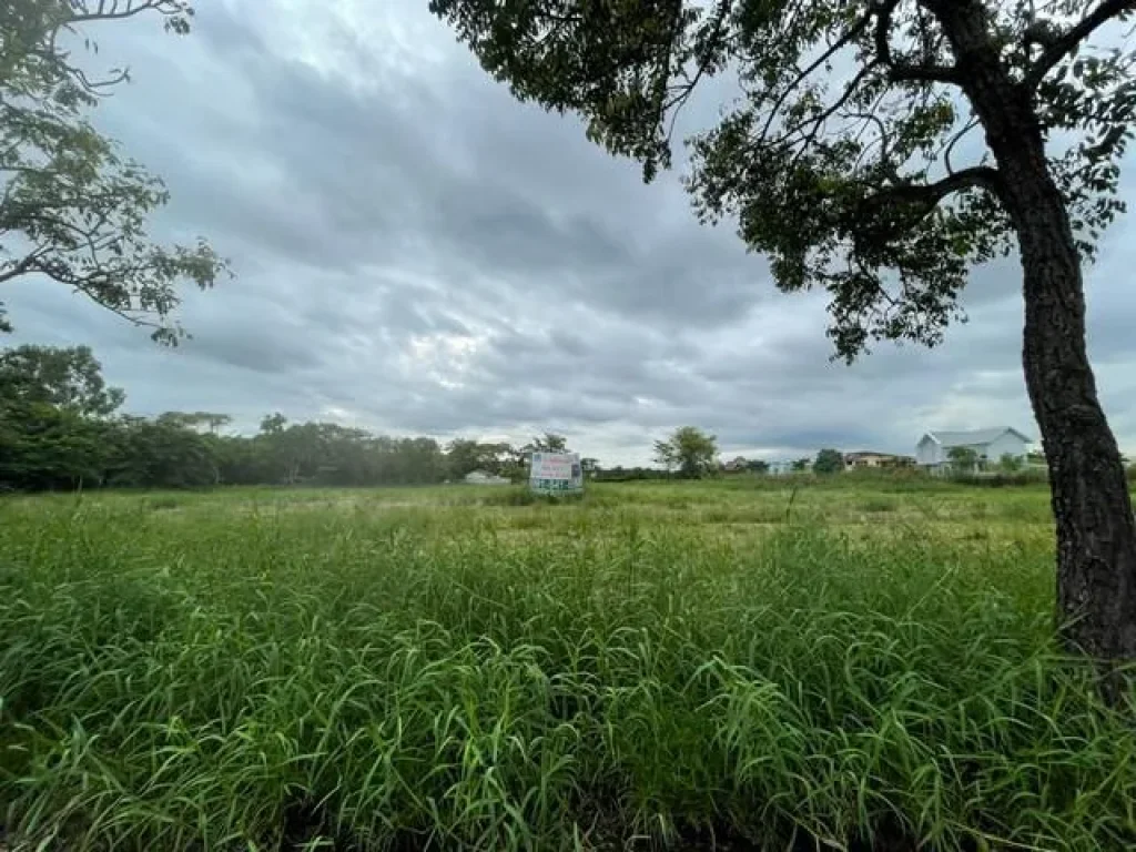 ขายที่ดินหัวมุม หมู่บ้านกรีนวัลเล่ย์ บางนา-ตราด