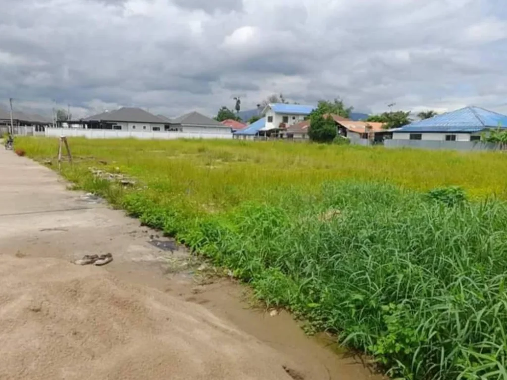 ขายที่ดินบ้านป่างิ้ว ท่าวังตาลสารภี ใกล้เมือง ราคาถูก