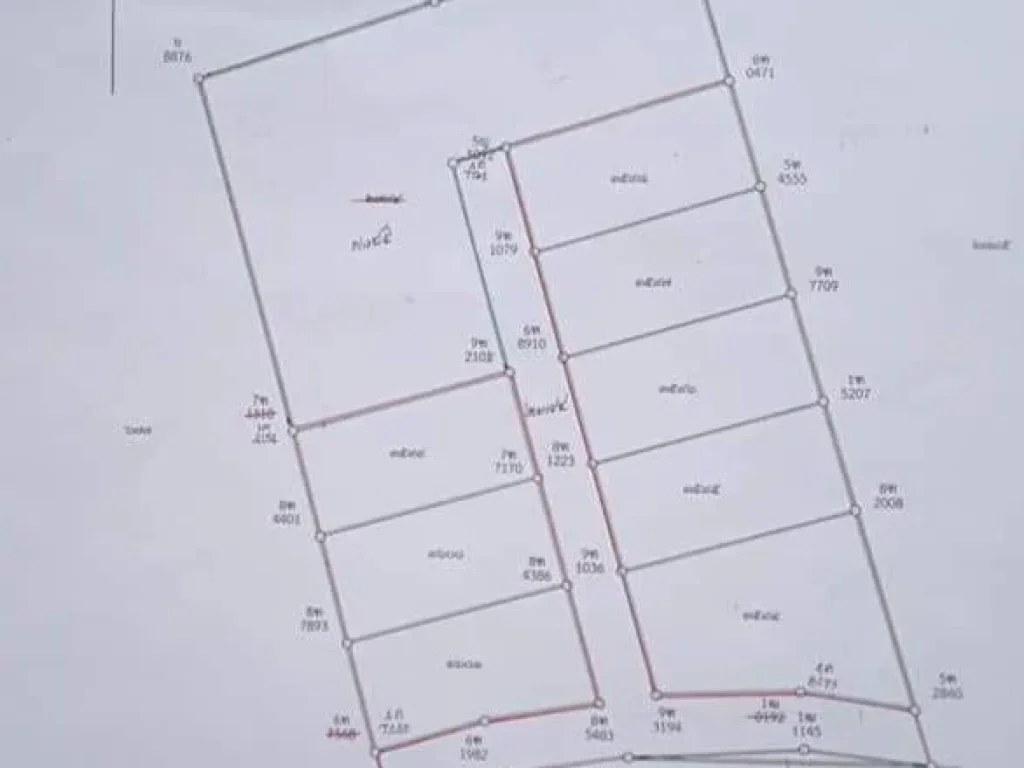 ขายที่ดินสันพระเนตร สันทราย แบ่งแปลงเรียบร้อยแล้ว