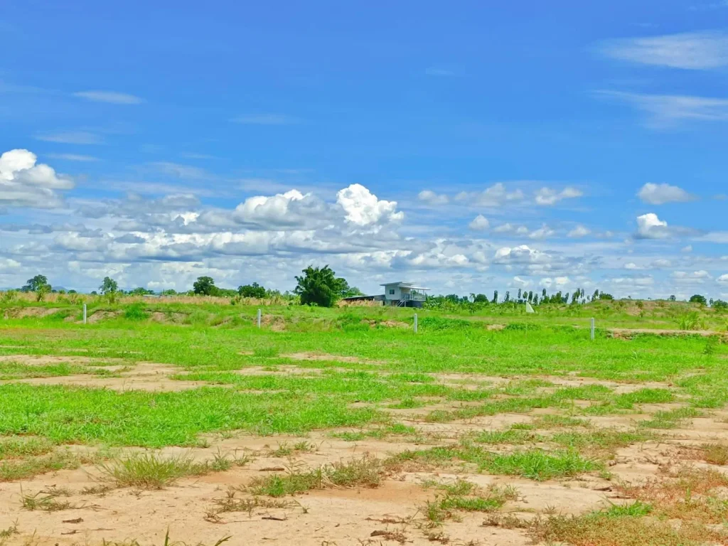 ขายที่ดิน จสุพรรณ 1 ไร่ เหมาะสร้างบ้านสวนยามเกษียณ มีไฟฟ้าปะปาพร้อมถนนสาธารณะหน้าแปลง ครุฑแดง