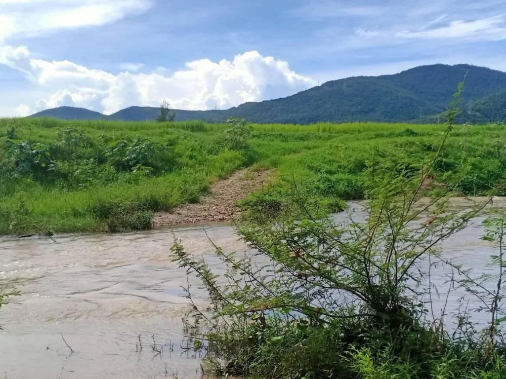 ขายที่ดินวิวภูเขาล้อมรอบติดแม่น้ำไหลผ่านหน้าที่ดินแม่ทาปลาดุกลำพูน