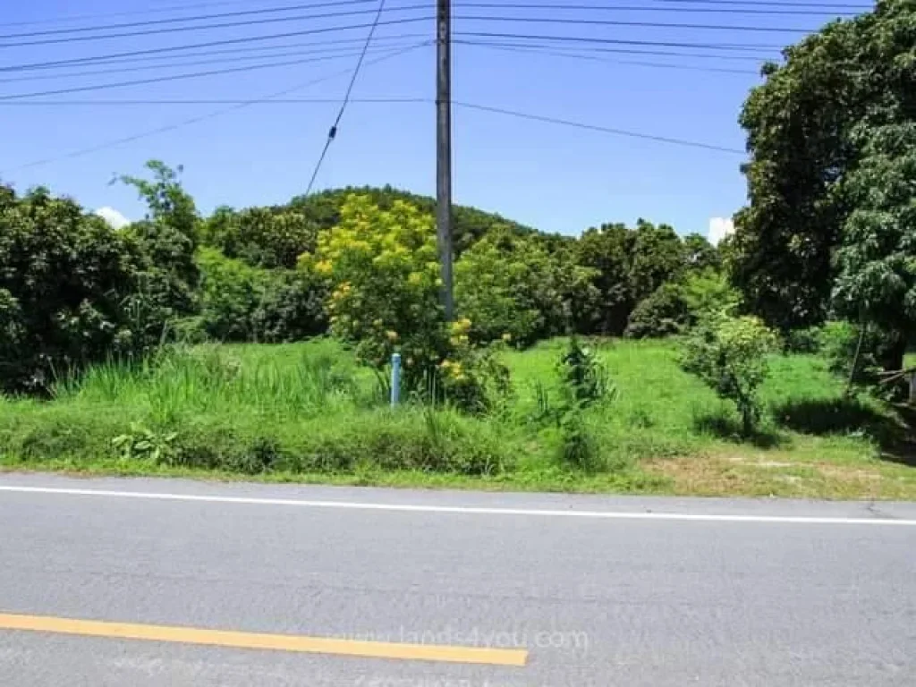 ขายที่ดินติดถนนหลวง ทาขุมเงิน แม่ทา พร้อมโอน