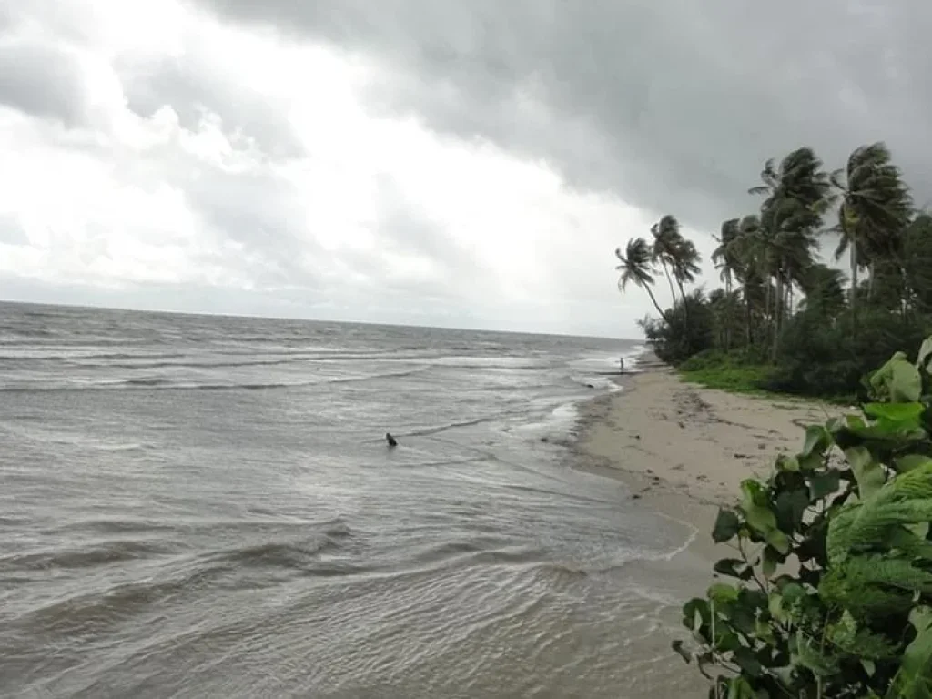 อย่ามองข้าม เป็นเจ้าของ ที่ดินริมหาด ทรายขาว ทะเลสวย ตราด คลองใหญ่