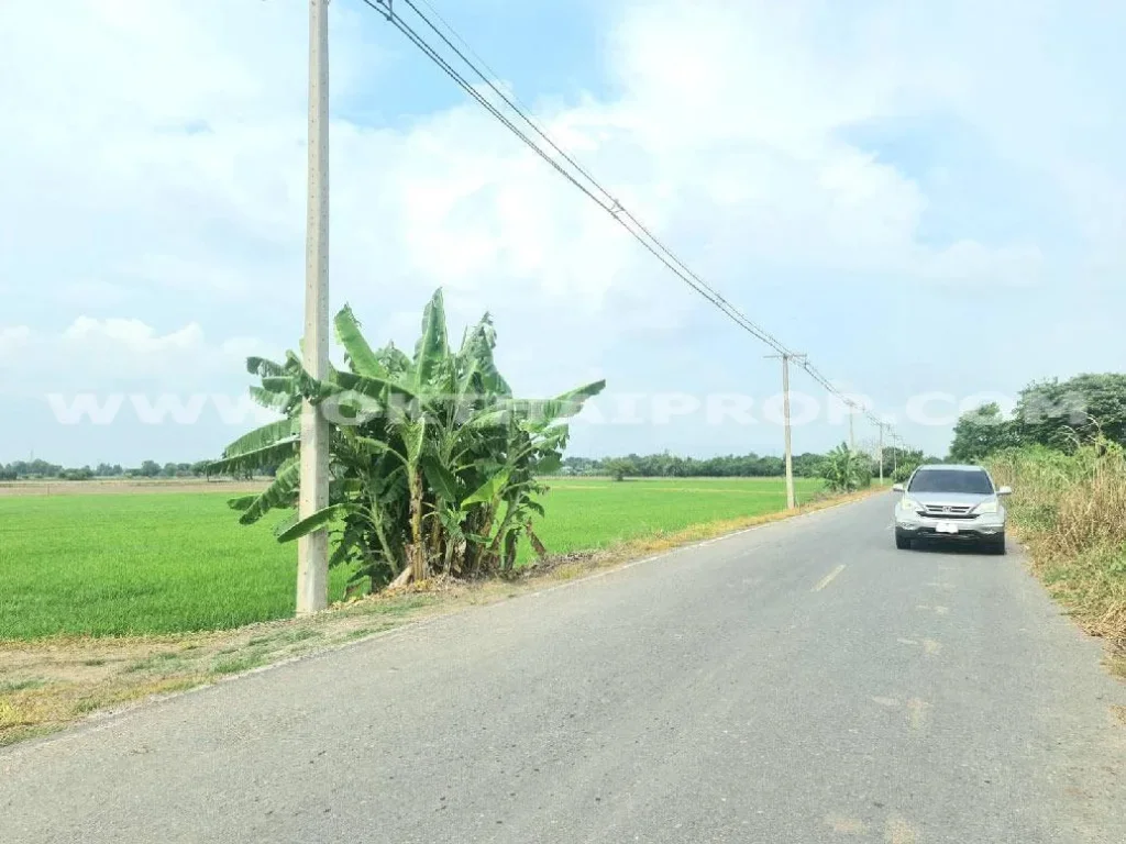 ที่ดิน ถอ่างทอง-ท่าเรือ โคกใหญ่ จอยุธยา