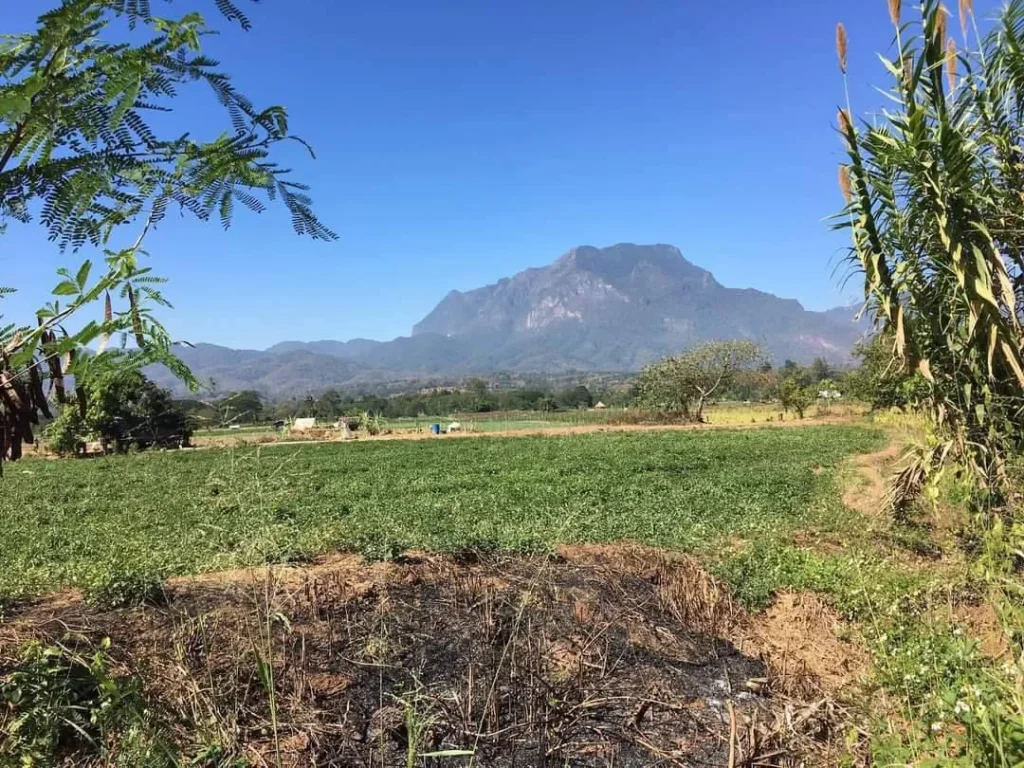 ขายที่ดินบ้านแม่เตาะ เชียงดาว วิวดอย พร้อมโอน