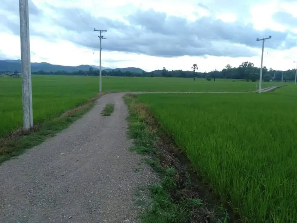 ขายที่ดินจอมทองบ้านหลวงวิวหัวเสือดอยอินทนนท์