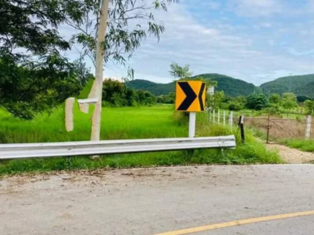 ขายที่ดินติดถนนลาดยาง ศรีบัวบาน ติดถนนลาดยางลำพูน