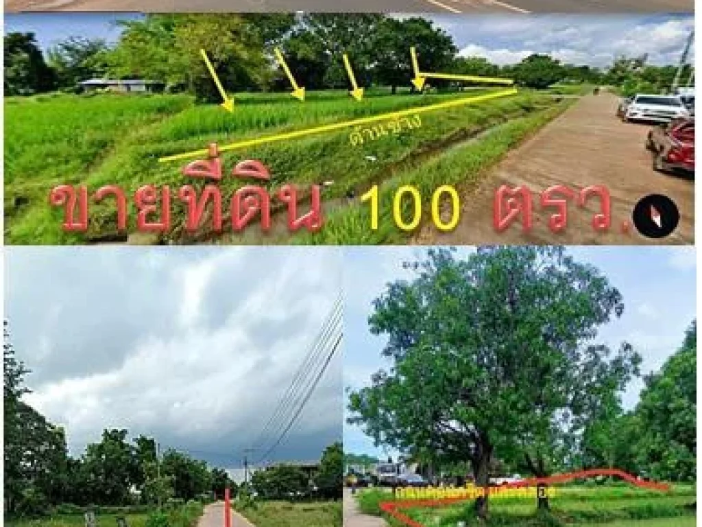 ขายที่ดินเหมาะสร้างบ้านชาญเมืองอำนาจเจริญ แปลงเล็กน่ารัก 100 ตรว