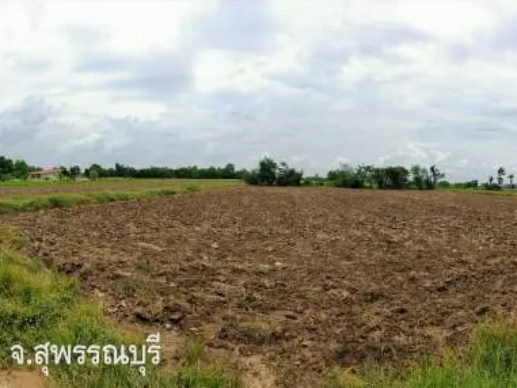 ที่ดินสุพรรณบุรี 9ไร่กว่า อสามชุก ตหนองผักนาก