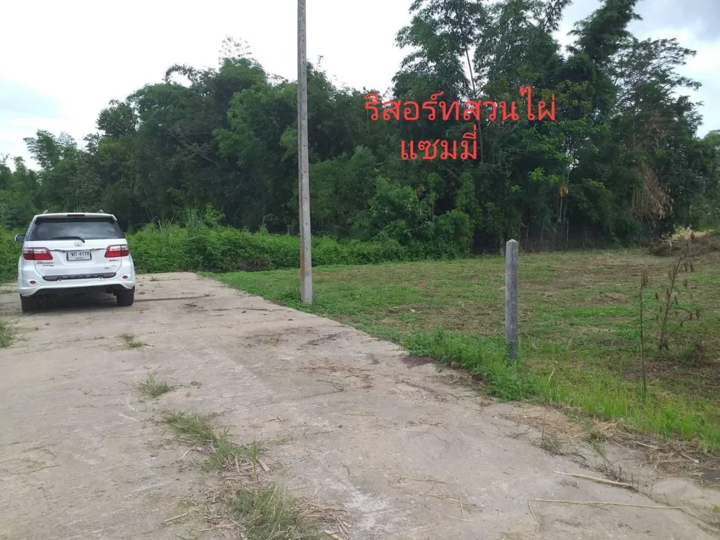 ฿ขายที่ดิน226ตารางงาอยู่ในชุมชนบ่านป่ายางปอย ตป่าลาน ดอยสะเก็ดติดกับรีสอร์ทสวนไผ่บ้านแซมมี่ขายถูกๆ