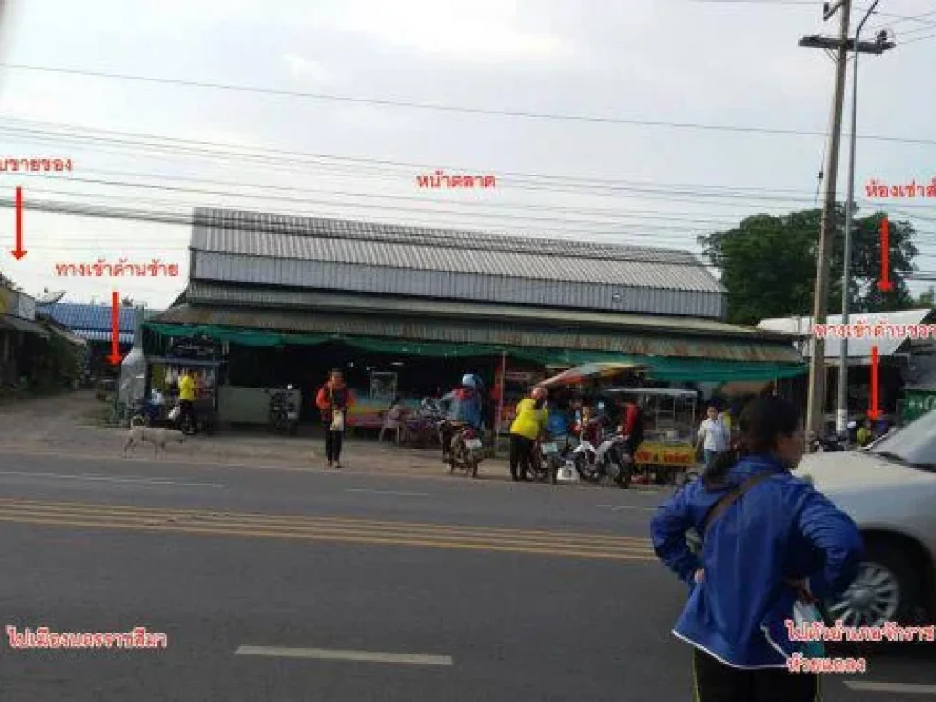 ขายที่ดินตลาด พร้อมกิจการห้องเช่า หนองพลวง-จักราช