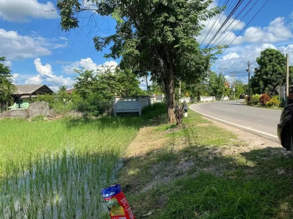 ขายที่ดินติดถนนคอนกรีต บ้านธิลำพูน น้ำไฟพร้อมโอน