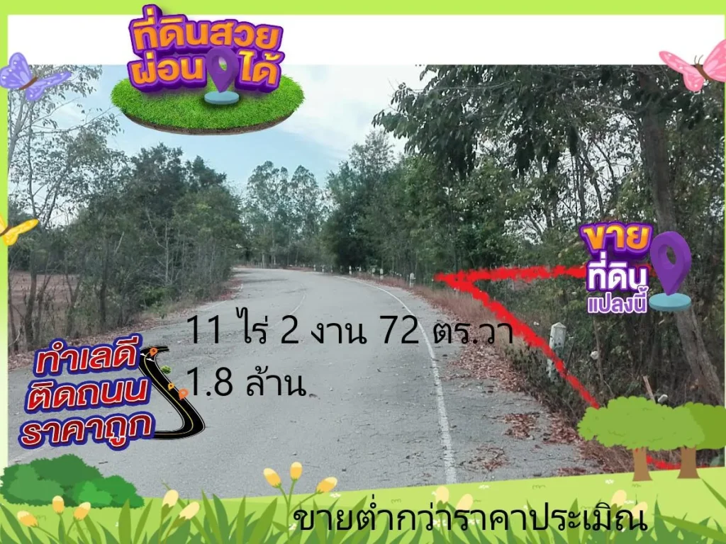 ขายที่ดิน 11 ไร่ 2งาน เขตเทศบาลเถิน ผ่อนได้