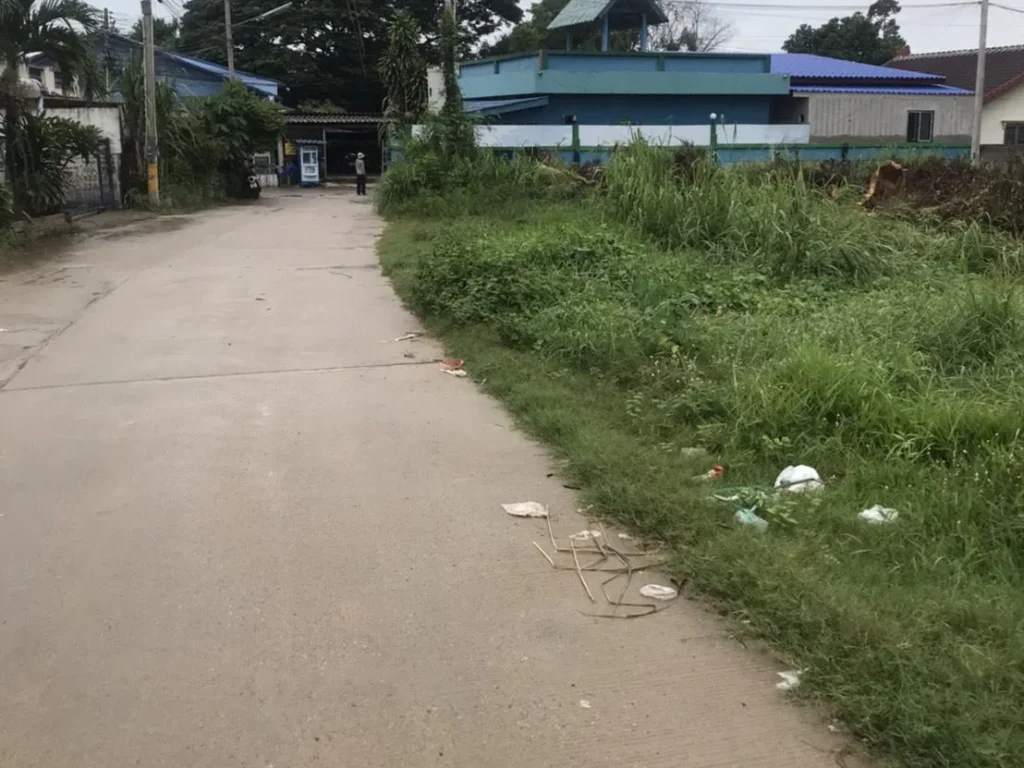 ที่ดิน 196 ตรวตะเคียนเตี้ย หลังโลตัส