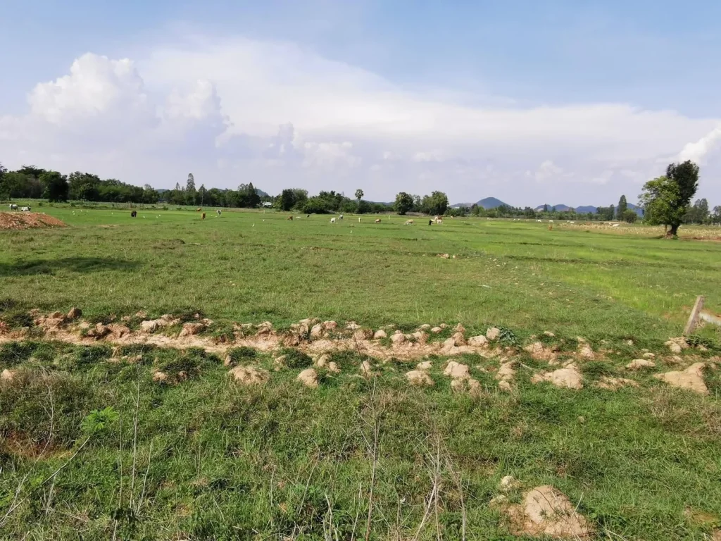 ขายที่ดินสวย3ไร่ติดถนนลาดยางเหมาะสำหรับปลูกบ้านทำการเกษตรปลูกต้นไม้ต่อรองได้