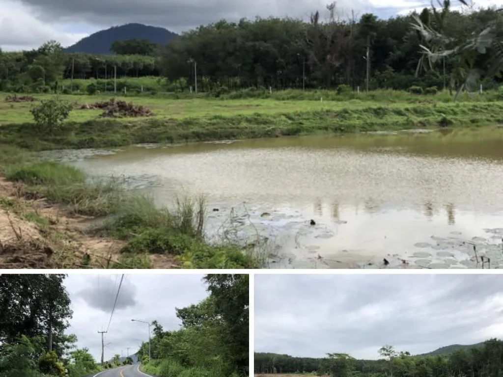 ที่ดินบ้านค่าย บางบุตร แบ่งขายติดถนนหมายเลข 4019 วิวเขา ติดสระน้ำและติดถนนสาธารณะทุกแปลง