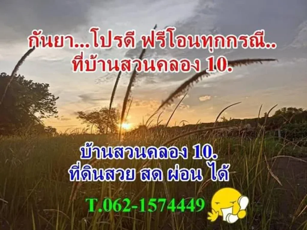 กันยาโปรดีฟรีโอนที่บ้านสวนคลองสิบที่ดินสวยสดผ่อนได้ T062-1574449