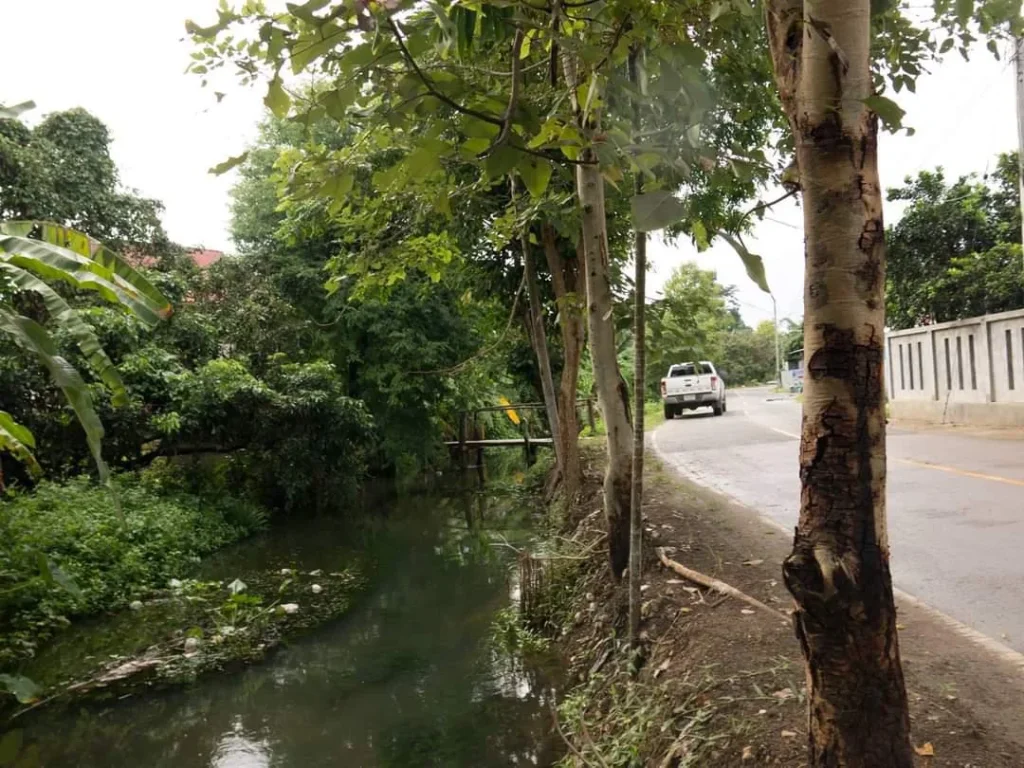 ขายที่ดินบ้านป่าบงสารภี ติดลำเหมือง ครุตแดง ราคาถูก