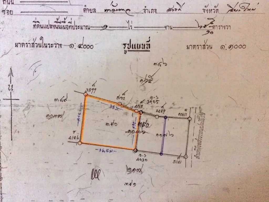 ขายที่ดินหนองผึ้งสารภี ห่างถนนใหญ่เพียง 100เมตร