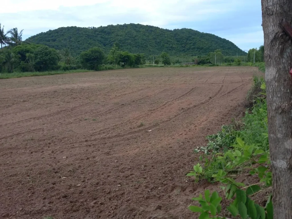 ขายที่ดินโฉนด3ไร่เหมาะปลูกบ้านทำการเกษตรไฟฟ้าน้ำพร้อม