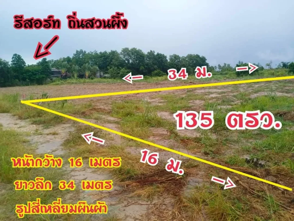 ขายที่ดินสวนผึ้ง 135 ตารางวาเหมาะอยู่อาศัยหลังเกษียณมีเพื่อนบ้านบรรยากาศดีอากาศบริสุทธิ์ใกล้โรงพยาบาลและตลาด 5 กม