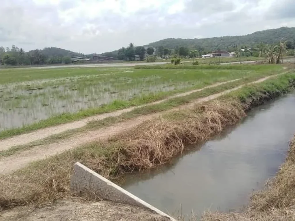 ขายที่นาบรรยากาศดีมากๆ เขาขลุงบ้านโป่งราชบุรี