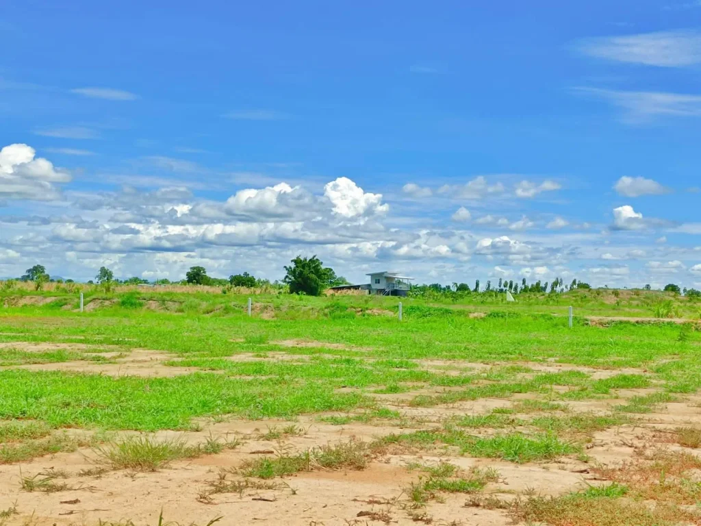 ขายที่ดินสวย เหมาะสร้างบ้านสวนยามเกษียณ มีไฟฟ้าปะปาพร้อมโฉน