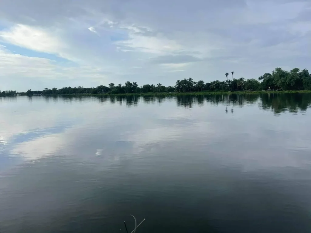 ขายที่ติดแม่น้ำท่าจีน อกระทุ่มแบน สมุทรสาคร เนื้อที่ 296 ตรว ที่สวยมาก วิวโค้งแม่น้ำ เหมาะปลูกบ้านพักริมน้ำ มีเพียง 3