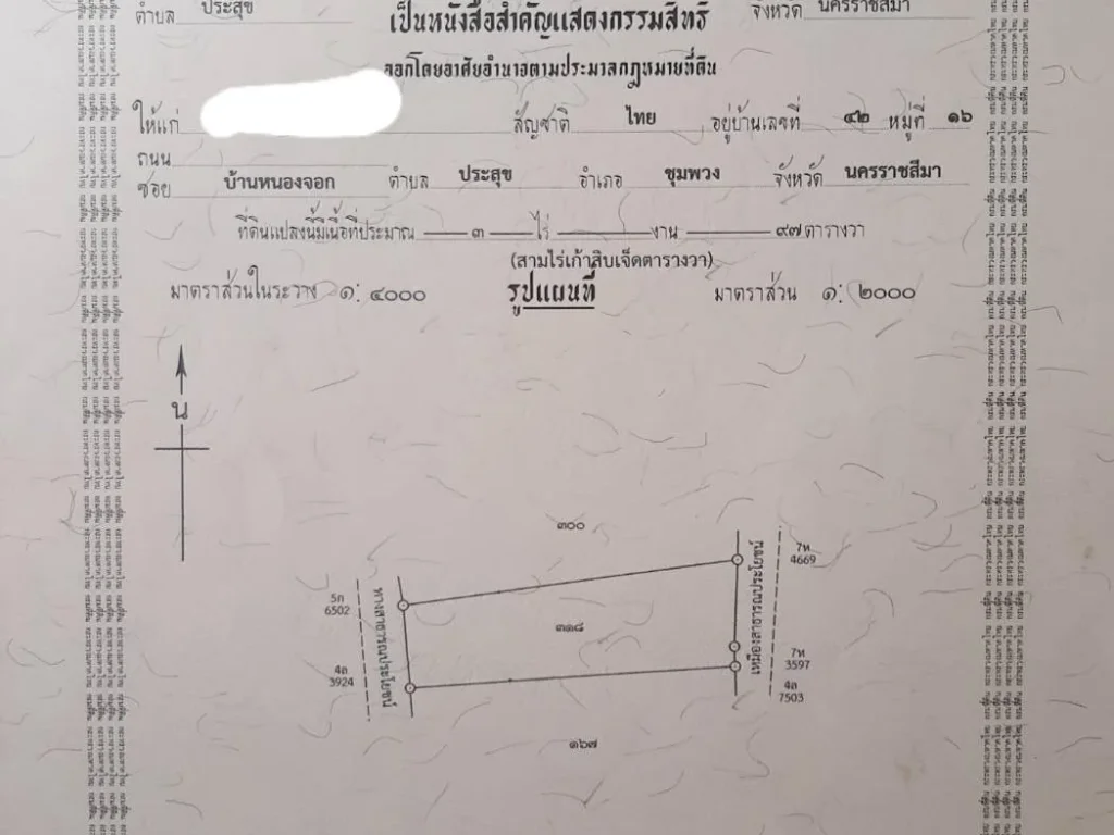 ขายถูก ที่นา 3 ไร่ 97 ตรว