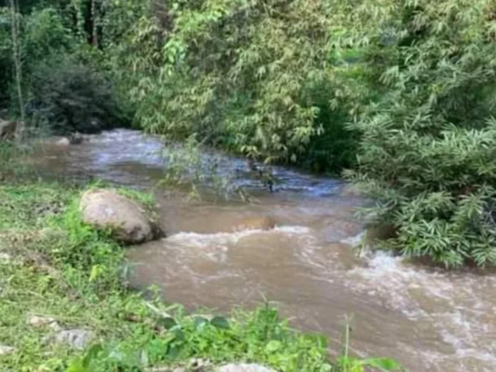 ขายที่ดินติดลำธารน้ำ ดอยสะเก็ต บ้านปางจำปี โฉนดชุมชน