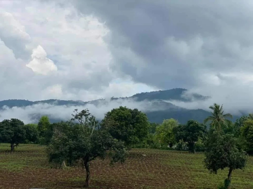 ขายที่ดินวิวอุทยานแห่งชาติเขาใหญ่ 1 ไร่ อหมูสี ปากช่อง เหมาะทำบ้านพัก รีสอร์ท ขายถูก แบ่งขายได้ 0879074045