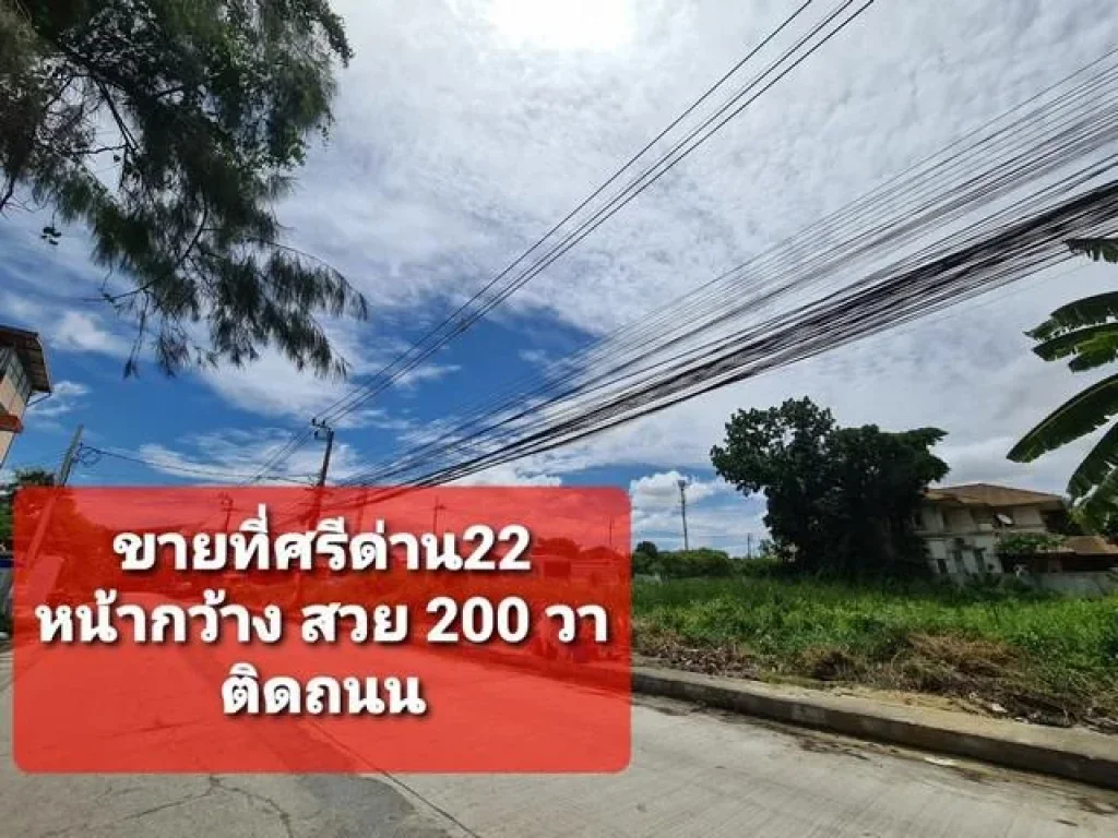 ขายที่ดิน 200วา ศรีด่าน22 บางนา ติดถนน สวย ถูกมาก