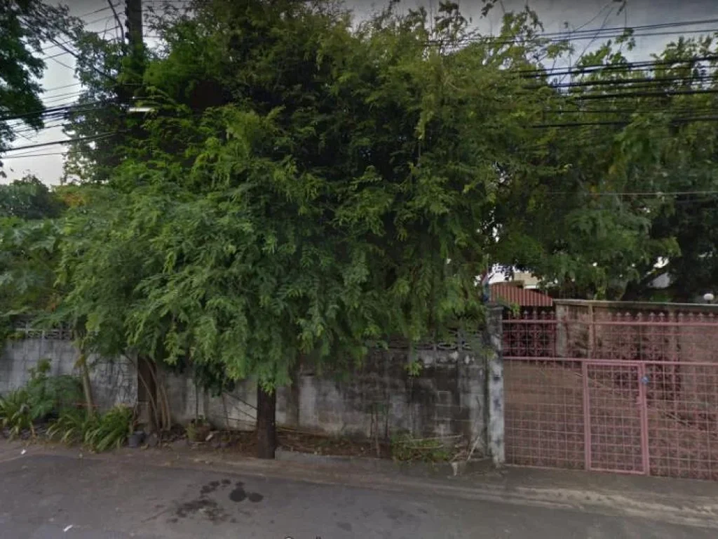 For sale land บางนา กรุงเทพ 0-3-240 ไร่ 324 ล้าน