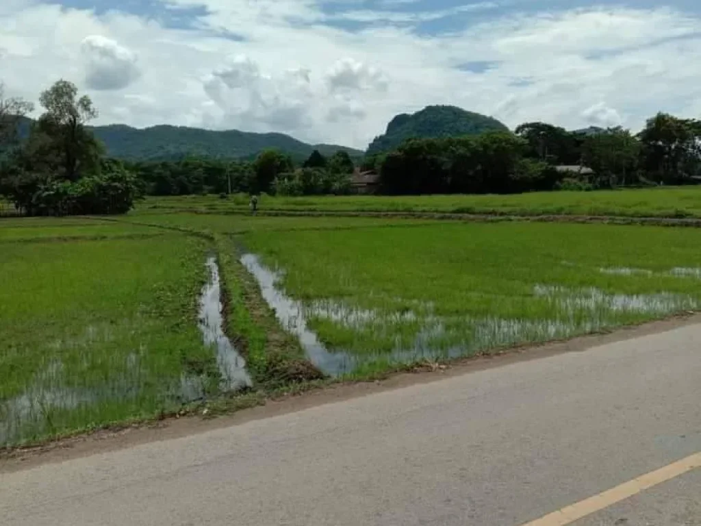 ขายที่ดินแม่ออนสันกำแพงติดถนน โฉนดพร้อมโอน