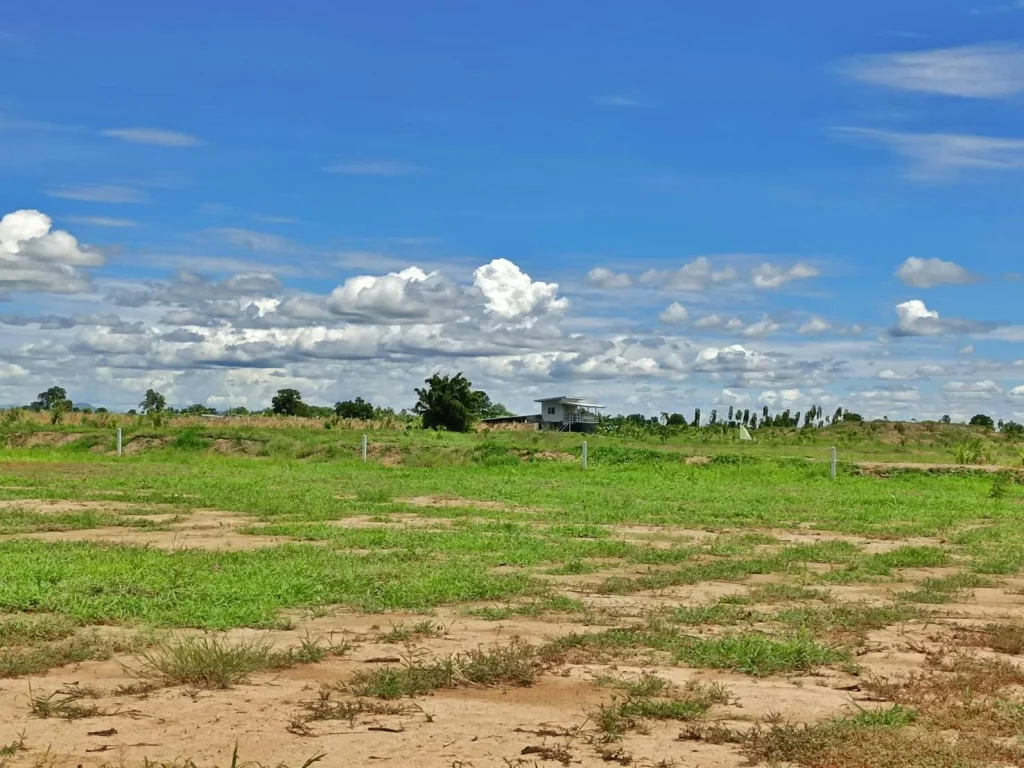 ขายที่ดินสวย สด-ผ่อน ทำเลดีบรรยากาศดีเหมาะสร้างบ้านสวนยามเกษียณ มีไฟฟ้าปะปาพร้อม