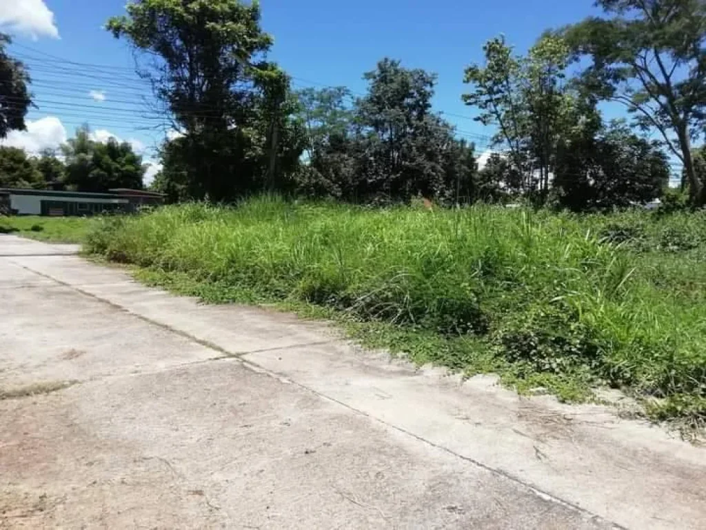 ขายที่ดินดอยสะเก็ต วิวพระธาตุดอยสะเก็ต ราคาถูก