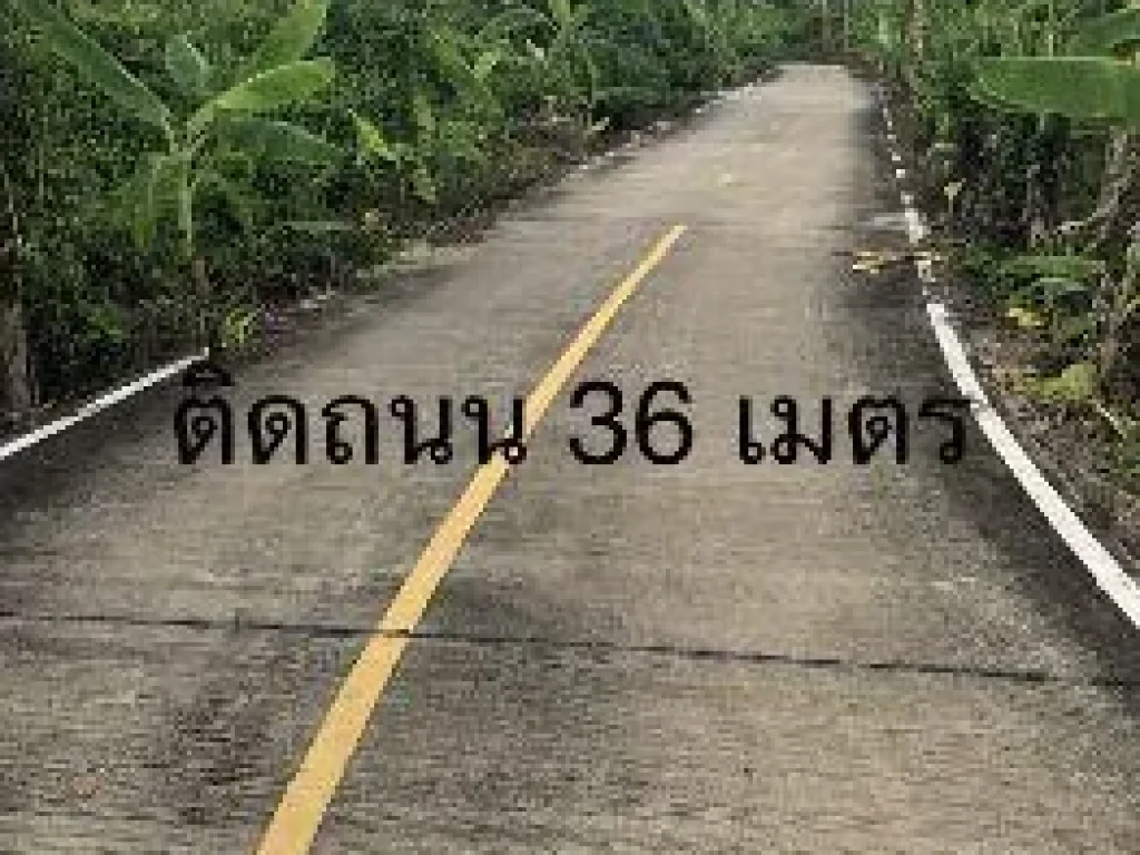 ขาย ที่ดิน ที่สวยวิวแม่น้ำท่าจีน ฝั่งแหลมดินงอก 7 ไร่ 2 งาน 26 ตรวา ด้านหน้าติดถนน ด้านหลังติดแม่น้ำท่าจีน