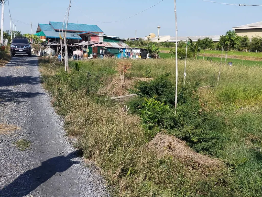 ที่ดินเปล่า ปทุมธานี ลาดหลุมแก้ว 2 งาน