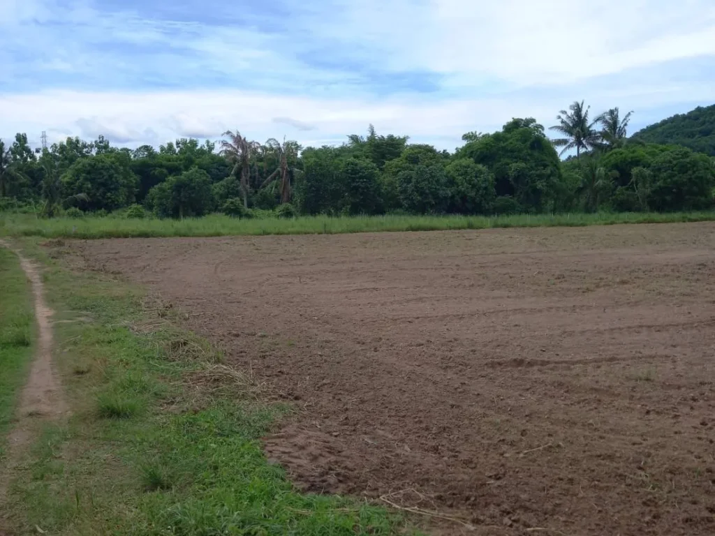 ขายที่ดินโฉนด4ไร่เหมาะทำการเกษตรไฟฟ้าน้ำพร้อมต่อรองได้