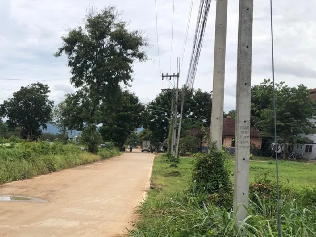 ขายที่ดินบ้านกลางห่างตลาดสันป่าฝ้ายเพียง 1km